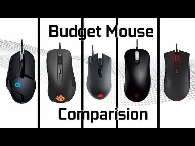 Budget Mouse Comparison