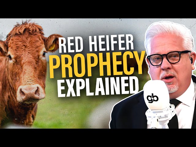 What Happens if Israel SACRIFICES a Red Heifer?