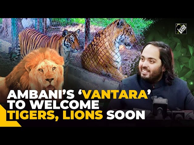 Anant Ambani’s ‘Vantara’ all set to welcome tigers, lions from Argentina