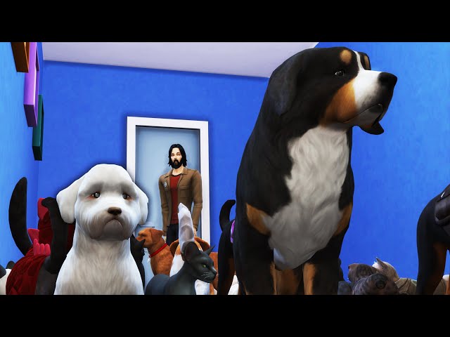 I Abducted Everyone's Pets and Ruined the Neighborhood in The Sims 4