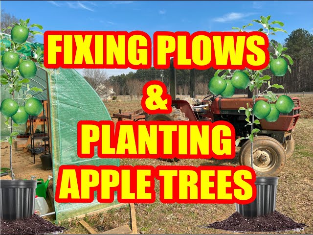 Fixing Plows and Planting New Apple Trees