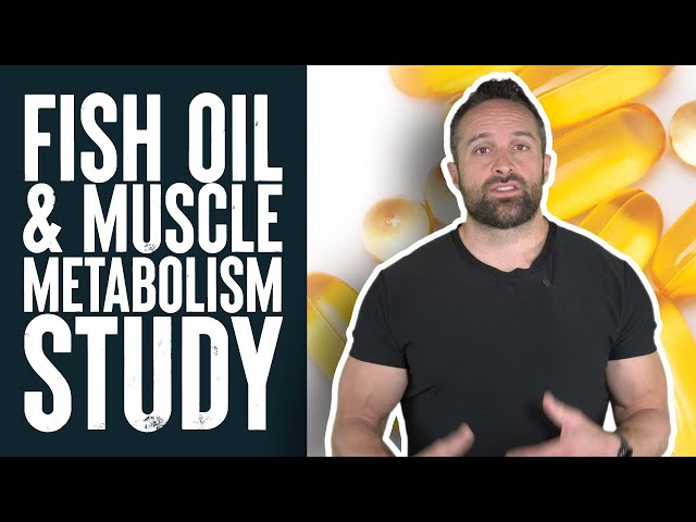Fish Oil & Muscle Metabolism | Educational Video | Biolayne