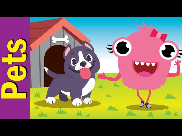 I Have a Pet | Pets and Animals Song for Kindergarten | Fun Kids English