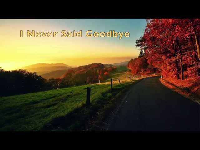 I Never Said Goodbye (Sad Piano)