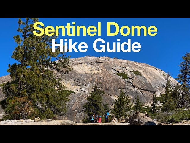 Sentinel Dome Hike Guide