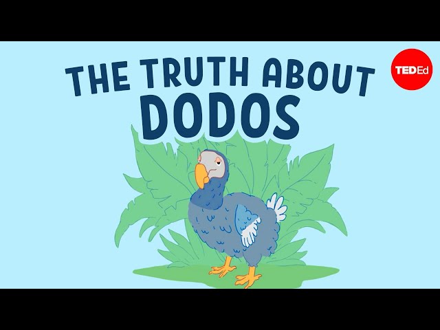 The real reason dodo birds went extinct - Leon Claessens