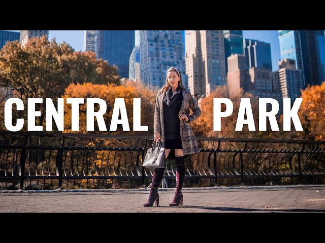 12 Things You Can't Miss in Central Park (Hidden Secrets & More)