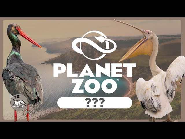 THE LAST DLC? THE END OF AN ERA?: Debate with me! - Planet Zoo