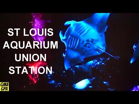 St. Louis Union Station: Fun Things Here To Do And See