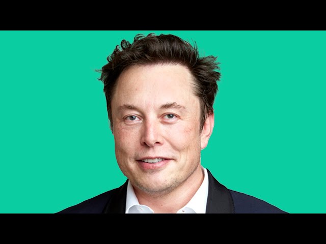 How Elon Musk Learnt To Code