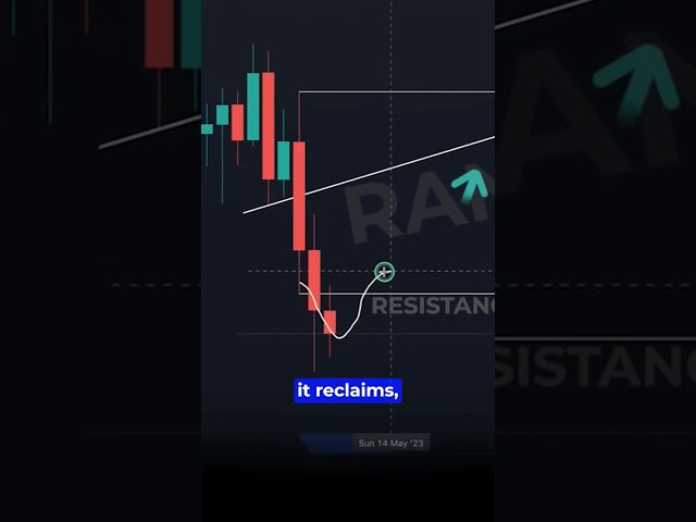 EASY Trading Indicator You Didn't Know EXISTED!