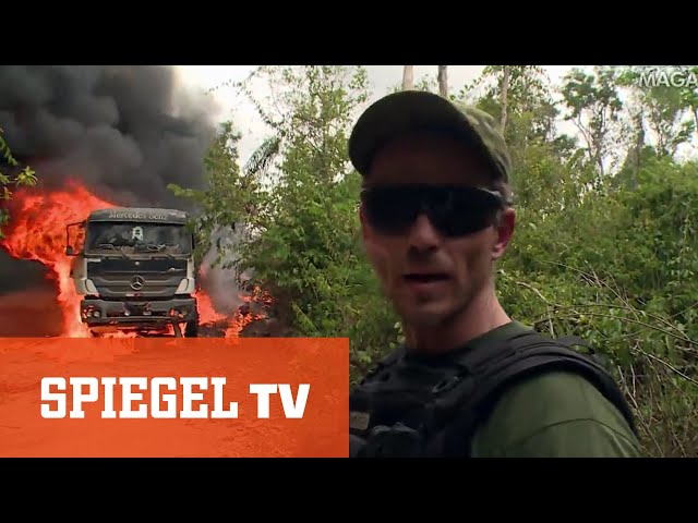 Kahlschlag im brasilianischen Regenwald: Unterwegs mit einem Sondereinsatzkommando | SPIEGEL TV