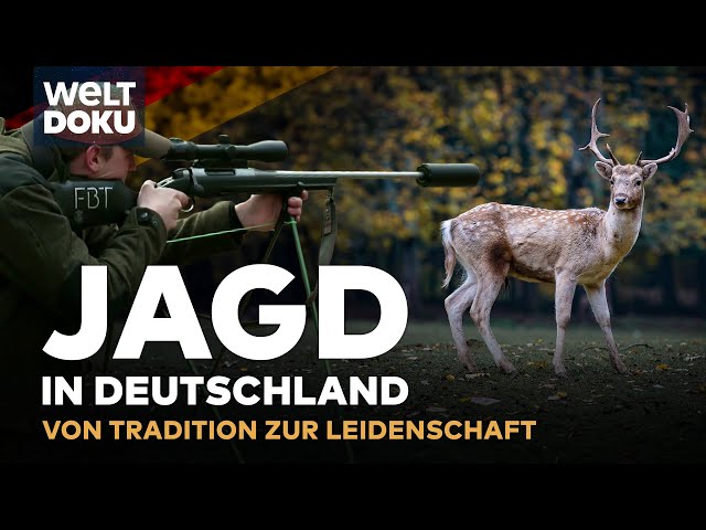 MODERNE JAGD IN DEUTSCHLAND: Wildregulierung vs. Tierschutz - Wildschweine & Rehe | WELT HD DOKU