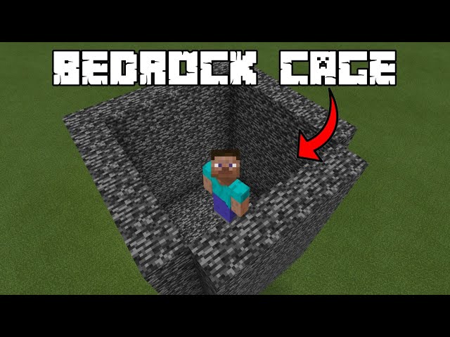 My Friend Trapped Me In A BEDROCK CAGE #shorts