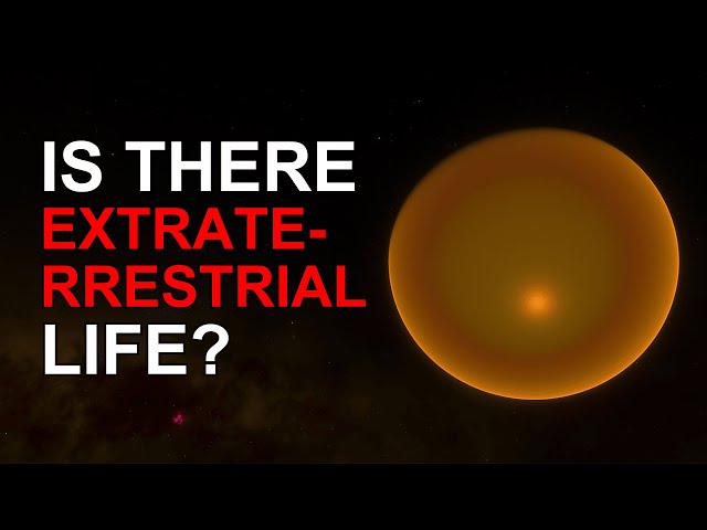 From 17.6°F to Extraterrestrial Life: The Extreme Conditions of K2-18b!