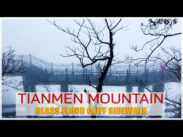 Tianmen Mountain China | Cliffside walk in the clouds