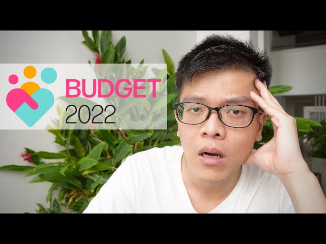 Budget 2022 | What Singapore Finance Minister just said