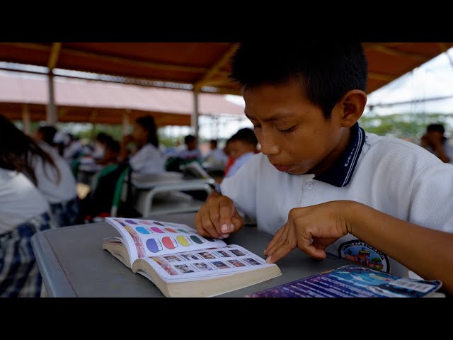 Venezuelan Children Cross the Border for Education: A Daily Adventure
