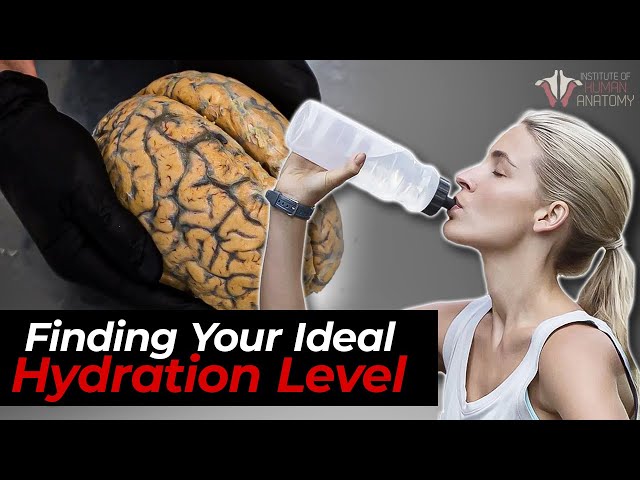 The Science of Hydration: How Much Water You Really Need