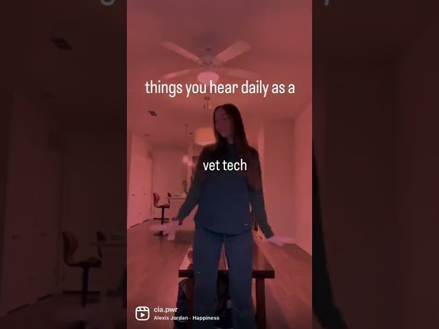 Things you hear daily as a vet tech 😅 #vet #vettech #vettechlife #dogs #doghumor