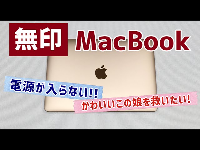 【電源入らない】無印 MacBook を救いたい！