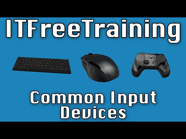 Common Input Devices