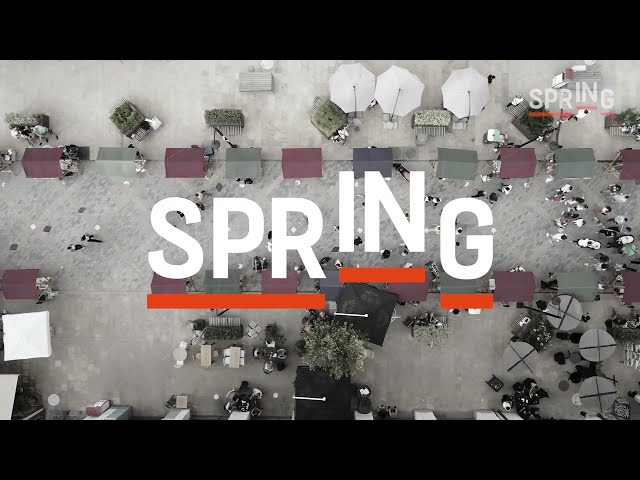 What exactly is the SprINg project? Prof. Peter Scholten & partners explain (TRAILER)