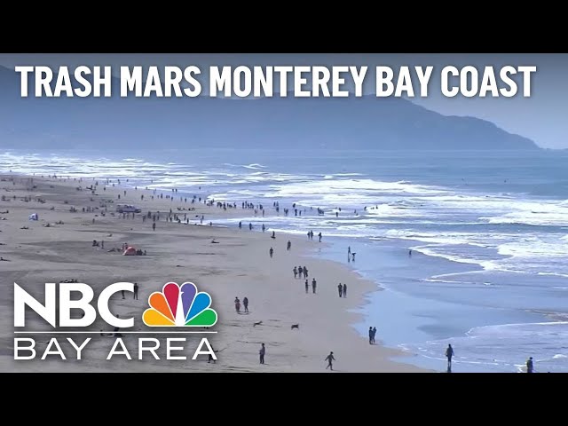 Marine life threatened by trash in Monterey Bay