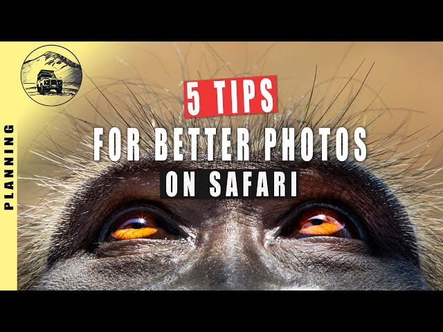 5 SIMPLE TIPS  FOR BETTER SAFARI PHOTOS