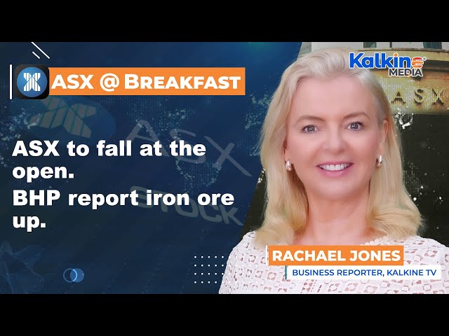 ASX to fall at the open. BHP report iron ore up