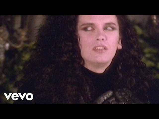 Dead Or Alive - Something in My House