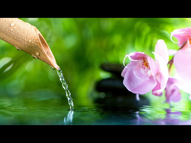 Relaxing Music Bamboo Water Fountain - Meditation Music -  Sleep Music - Piano Music - Stress Relief
