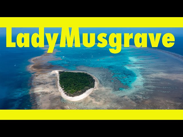 Sailing to Lady Musgrave Island. (Learning By Doing Ep204)