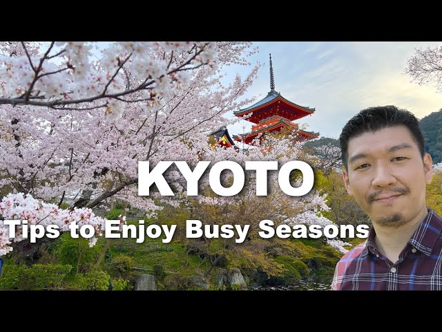 Where to See Cherry Blossom in Kyoto - Without Crowd