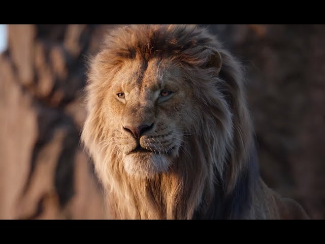 Jon Favreau On The Lion King, The Mandalorian And Virtual Production - BBC Click