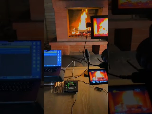 REC 🔥 Fireplace video & sounds #fieldrecording