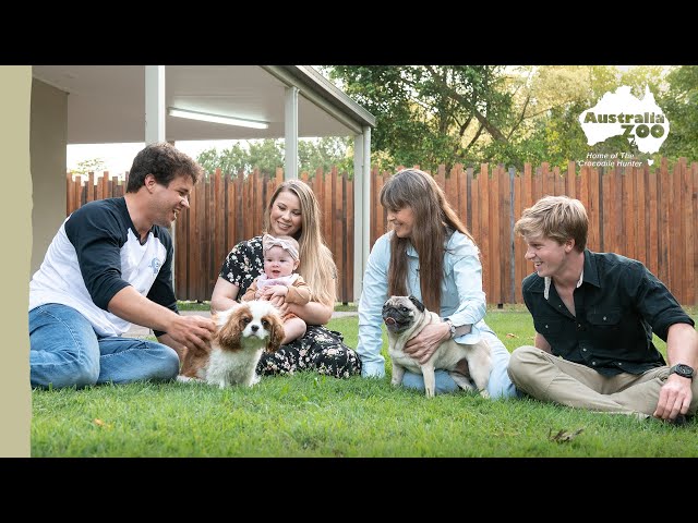 Celebrate National Pug Day | Irwin Family Adventures