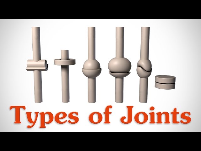 The 6 Types of Joints - Human Anatomy for Artists