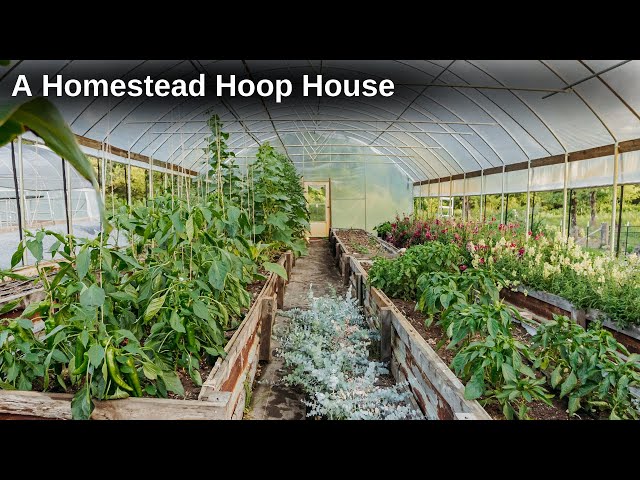 Grow Year-round on Your Homestead in a Hoop House