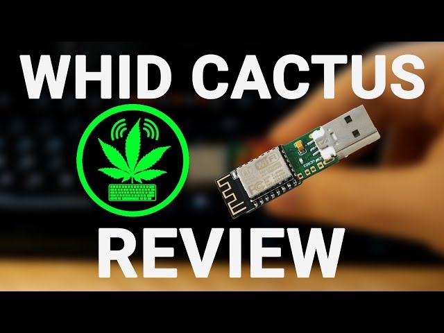 WHID Cactus Review