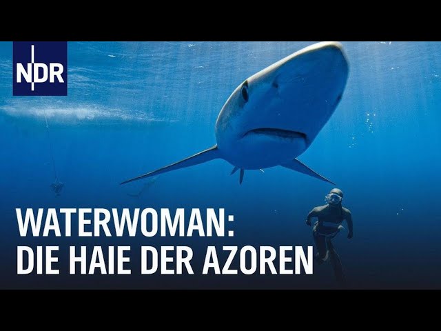 Waterwoman | Folge 1: Hautnah bei den Haien der Azoren | NDR Doku