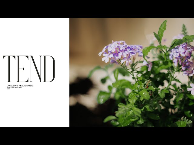 Tend (Live) - Dwelling Place Music