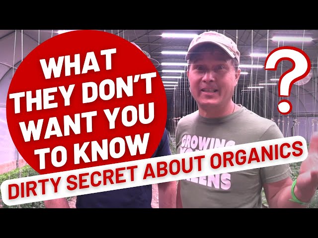 What THEY Don't Want You to Know about Organic Garden Soil & Amendments