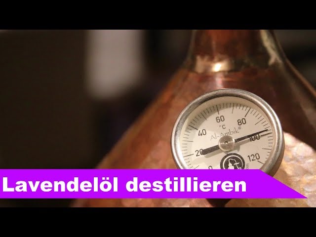 🌷 Lavender distillation 🌻 - distilling essential oils at home - diSTILLed (German, English subs)