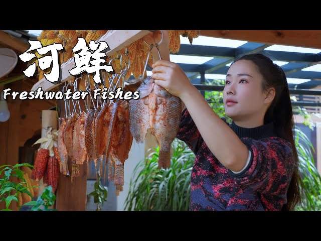 Freshwater Fishes: Fresh Flavors from Streams in Yunnan Mountains【滇西小哥】