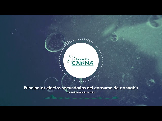 Principales efectos secundarios del consumo de cannabis - Audio Artículo (Español)