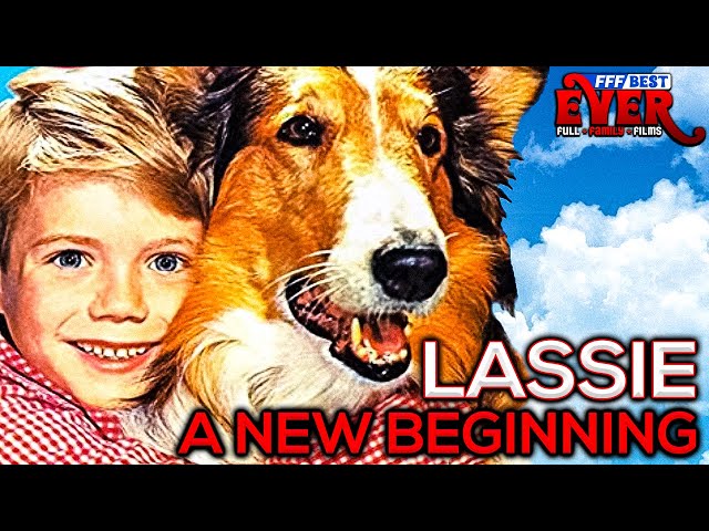 LASSIE - A NEW BEGINNING | Full FAMILY PUPPY Movie in ENGLISH