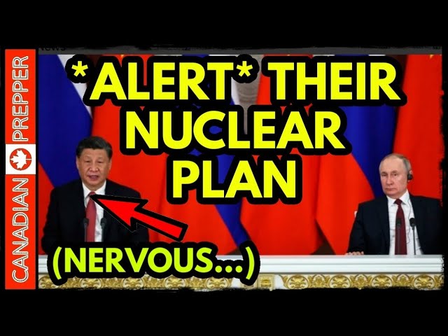 MAJOR ALERT! CHINA/ RUSSIA NUKE WARNING to NATO. 200 Million HUMAN BIRD FLU DOSES, NK Nuke AIRBURST!