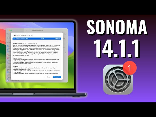 macOS Sonoma 14.1.1 Update - What happened????