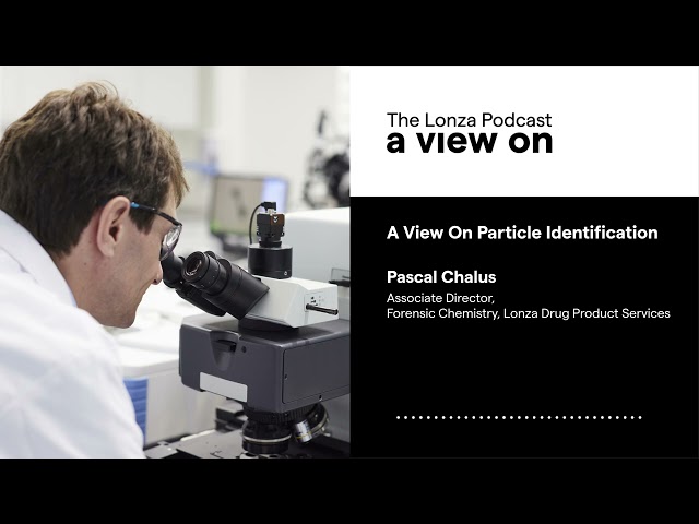 A View On Particle Identification